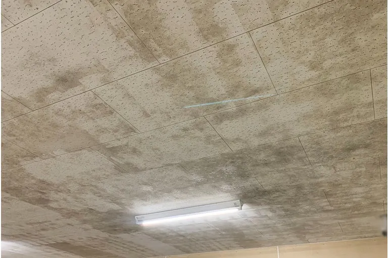 新潟県のスーパー