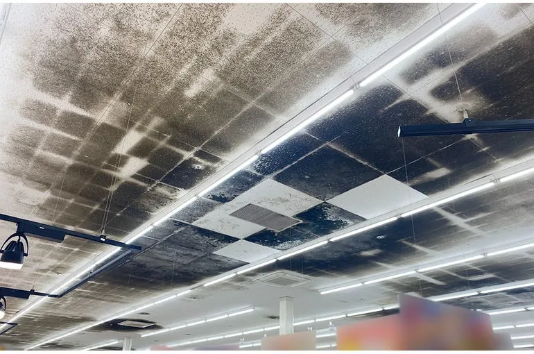 岡山県のスーパー