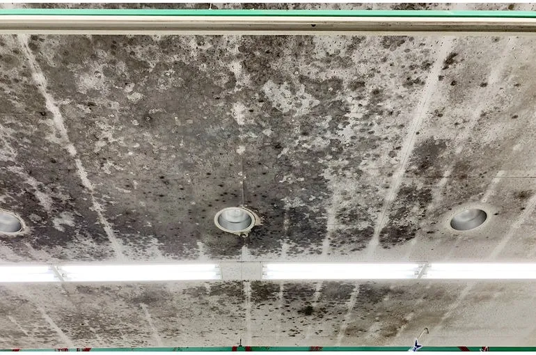 宮崎県のショッピングセンター