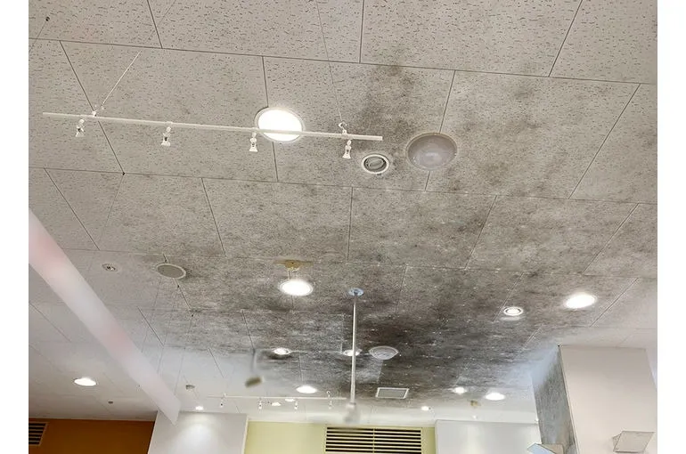 京都府のスーパー