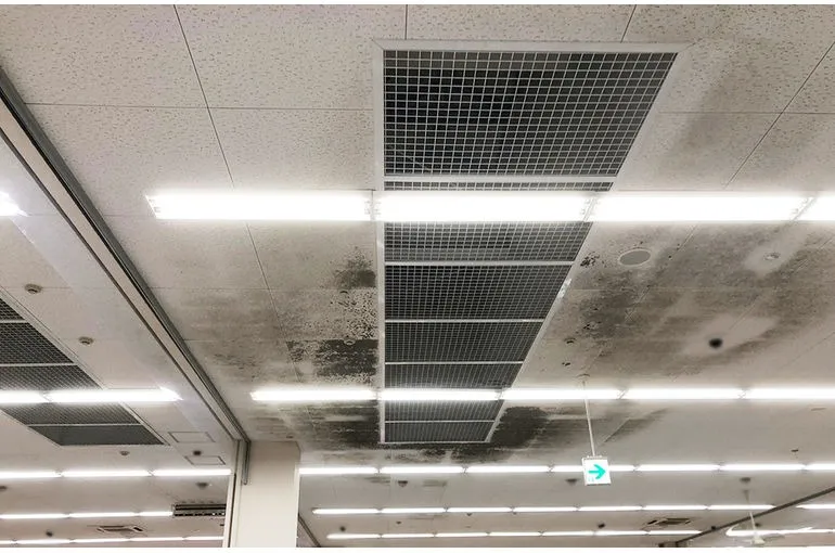 青森県のスーパー