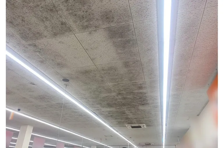 高知県のドラッグストア