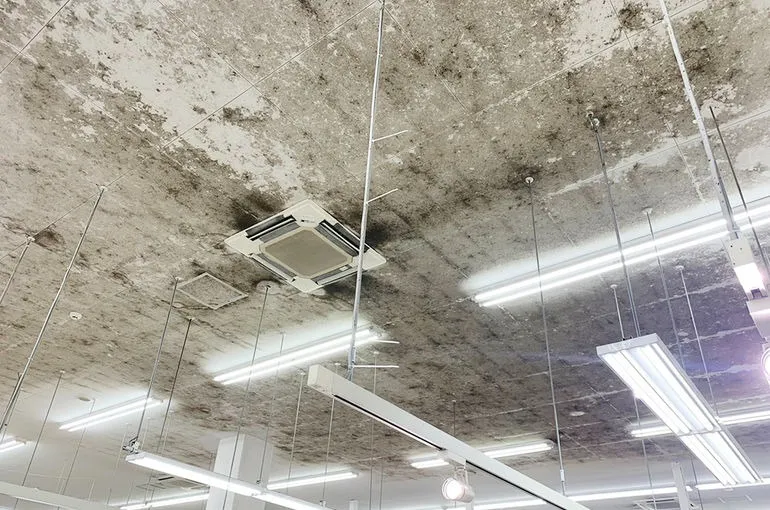 栃木県のスーパー