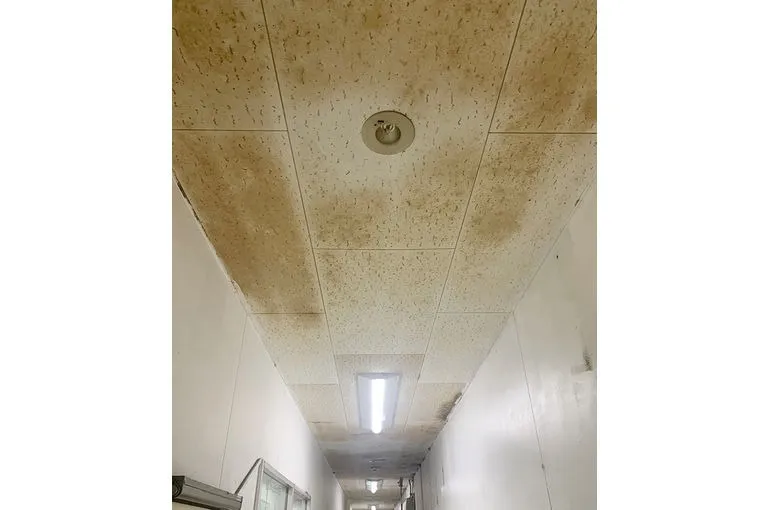 宮崎県の食品加工工場