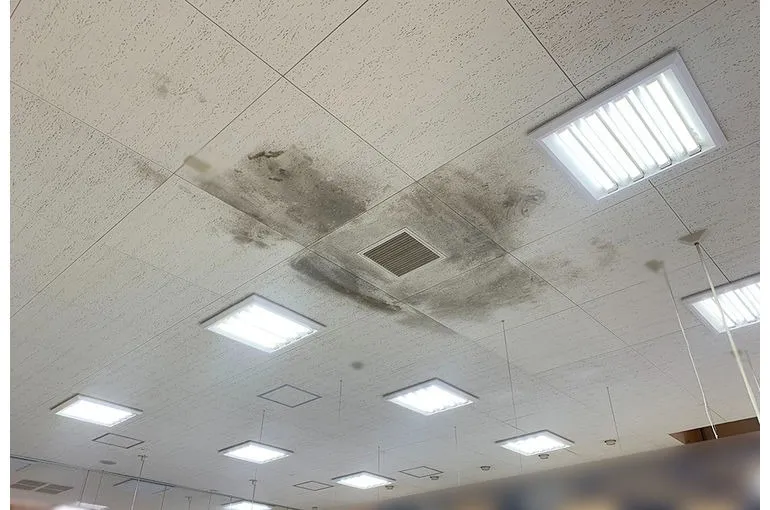 新潟県のスーパー