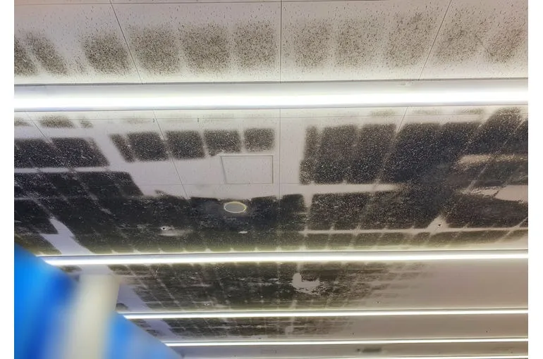 福岡県のスーパー