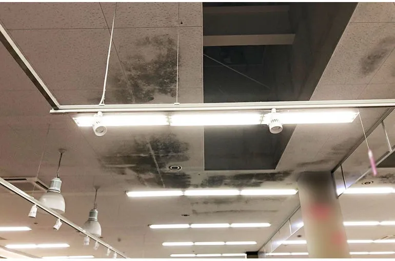 青森県のスーパー