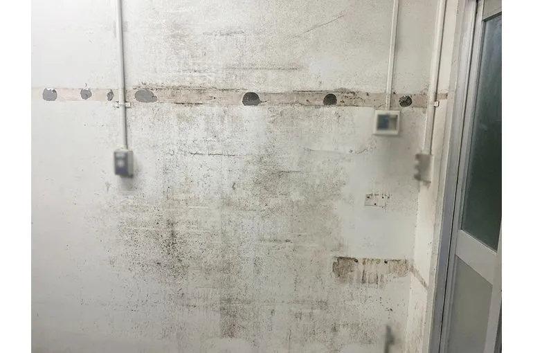 大阪府のスーパー