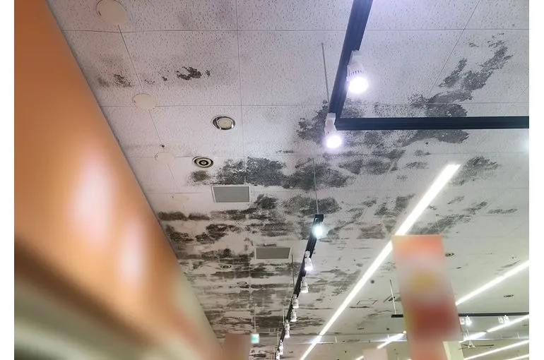 秋田県のスーパー