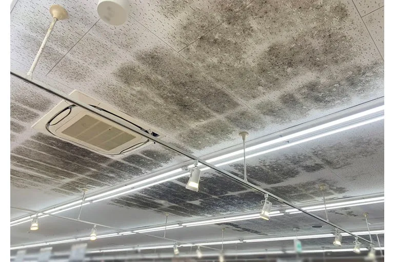 大分県のスーパー