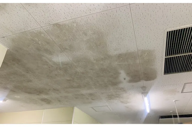 新潟県のスーパー