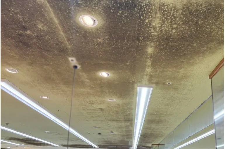 鹿児島県のスーパー