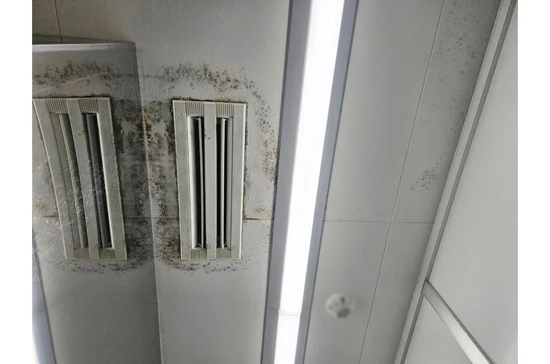 徳島県の直売所