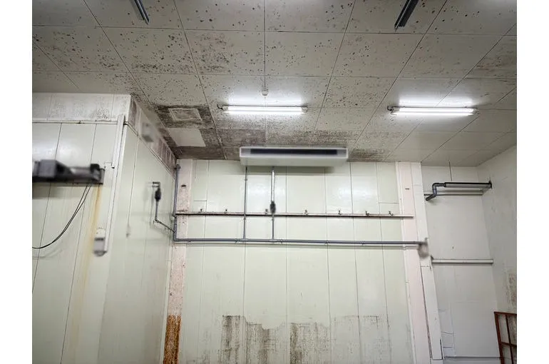 宮崎県の食品加工工場