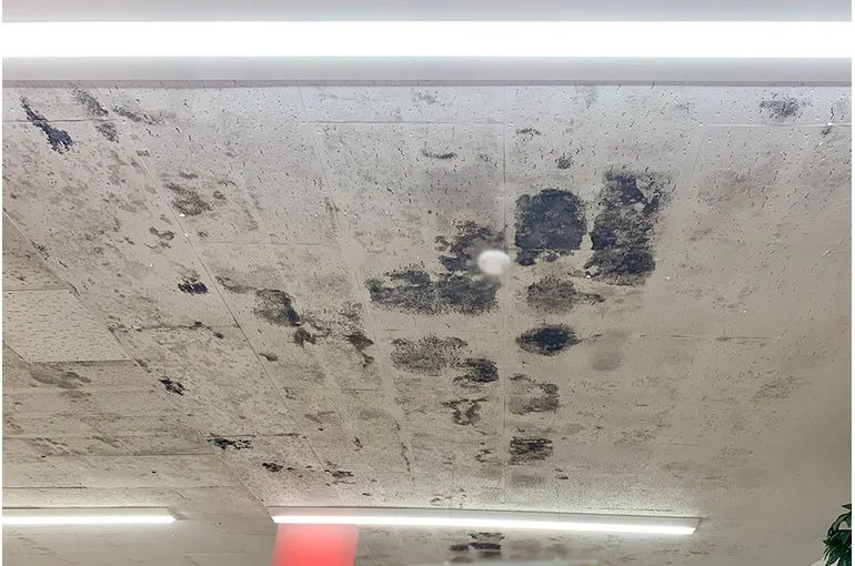 熊本県のスーパー