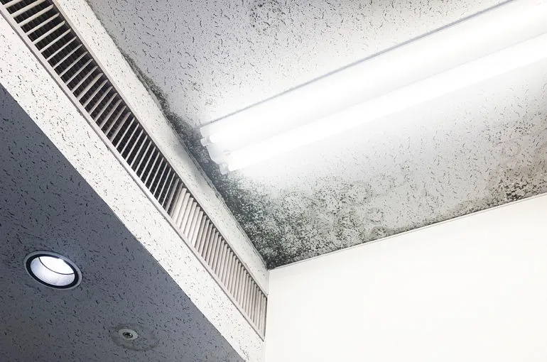 福岡県の音楽教室