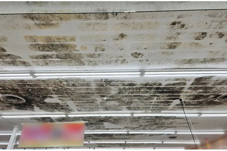 鳥取県のスーパー