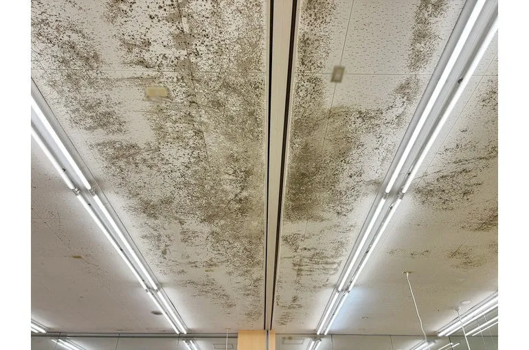 秋田県のスーパー