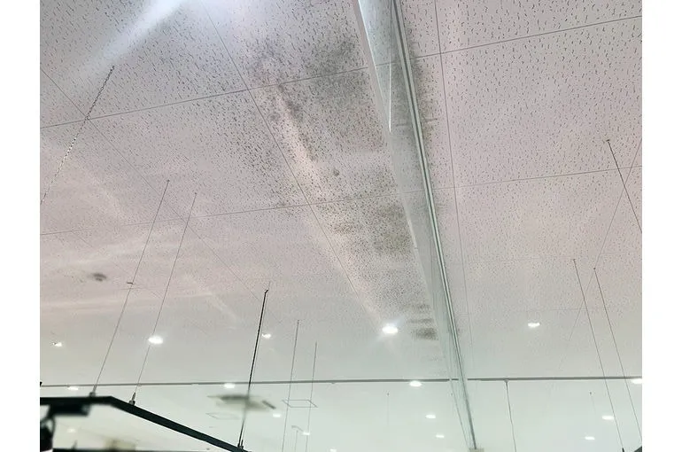 茨城県のドラッグストア