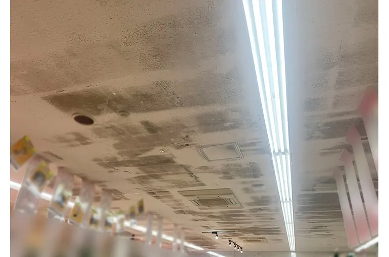 熊本県のスーパー