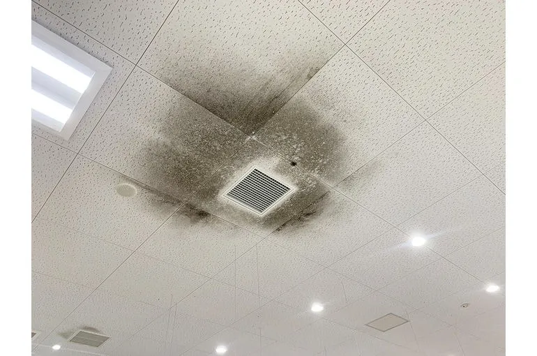 茨城県のドラッグストア