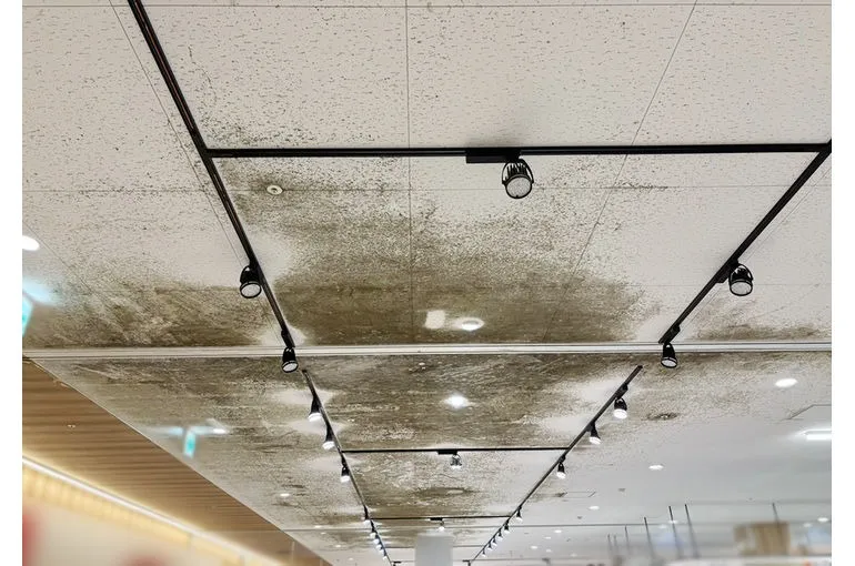 愛知県のスーパー