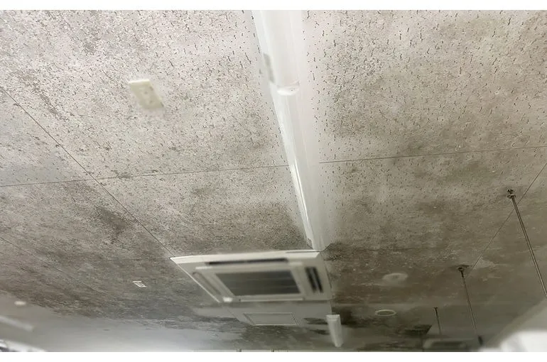 静岡県のスーパー