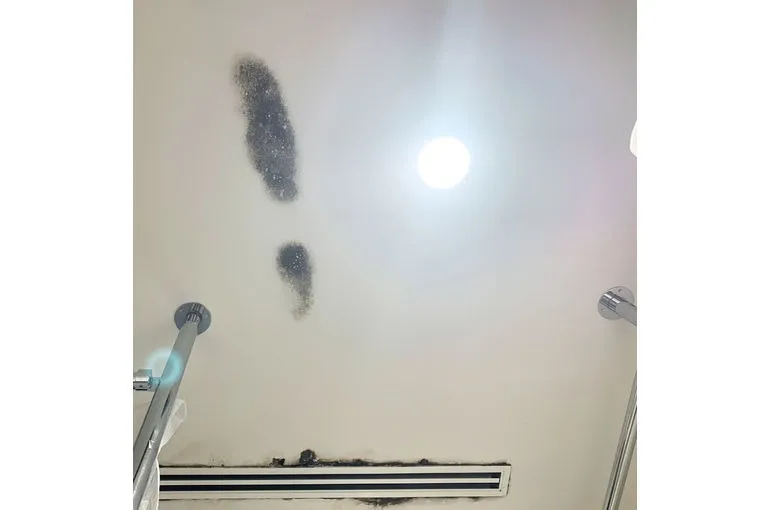 福岡県のドレスショップ