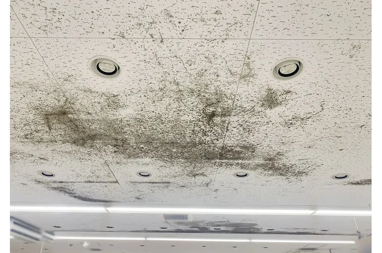 神奈川県のスーパー