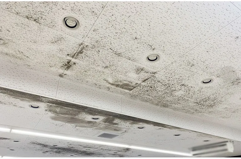 神奈川県のスーパー