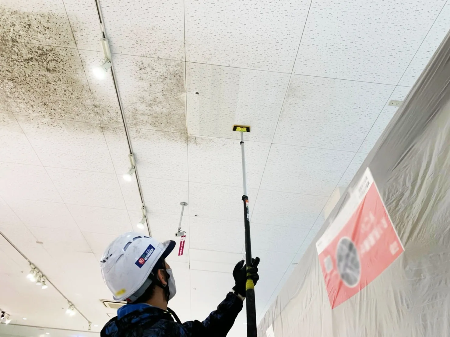 株式会社GIGエコラボ