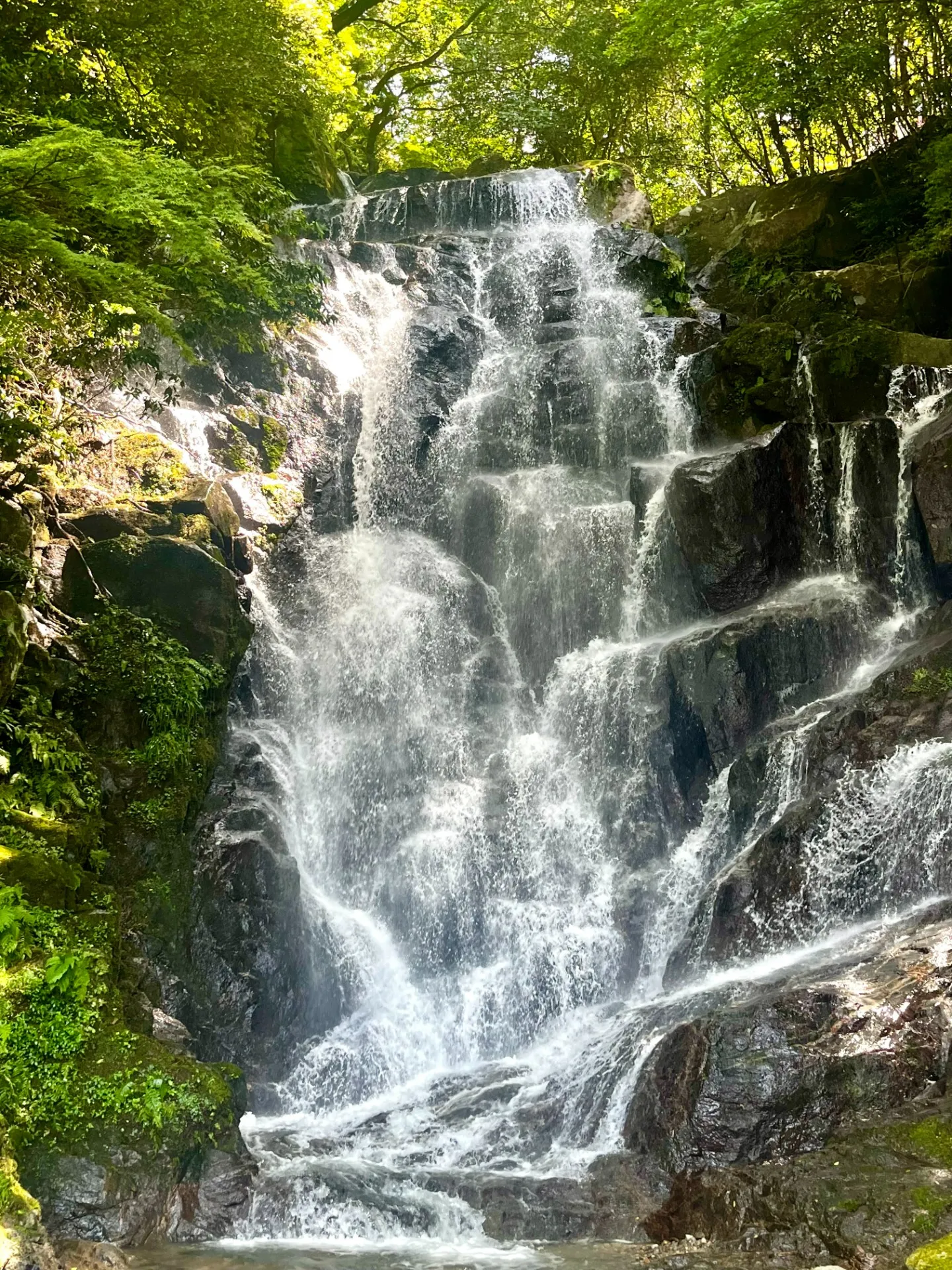 福岡の避暑地🏞️