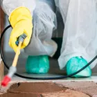 クモ防虫防除施工