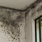 GIGエコラボについて