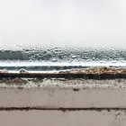 プライバシーポリシー